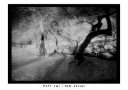 Barn Owl : Barn Owl-Tom Carter